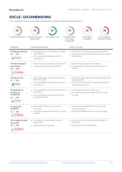 Page 3 du rapport type : situation déclarée et palier suivant pour chacune des six dimensions du socle.